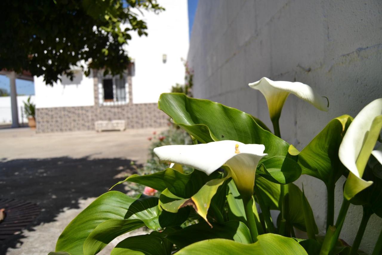 La Orquidea De Cordoba Córdoba Exterior foto