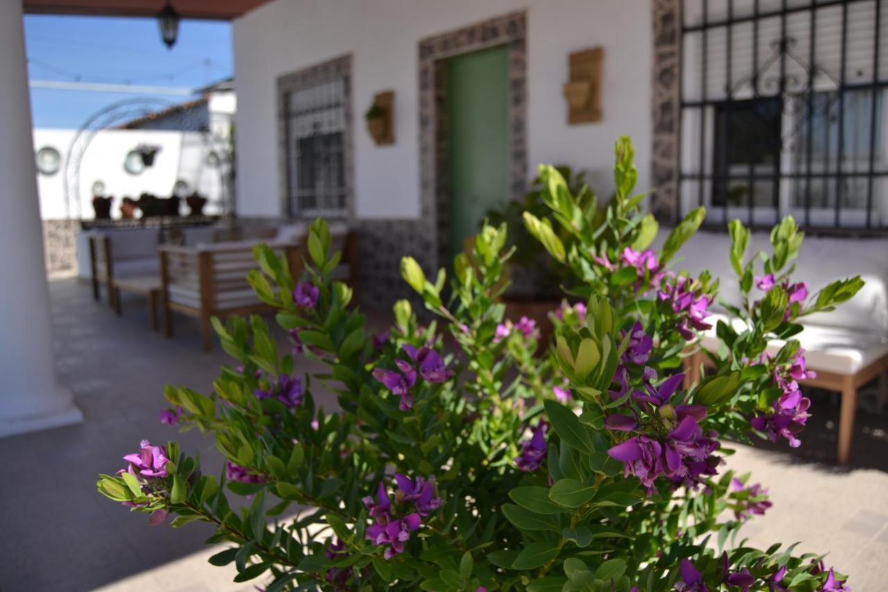 La Orquidea De Cordoba Córdoba Exterior foto